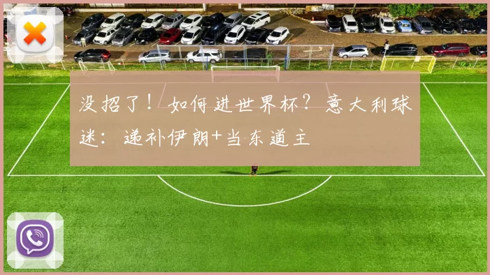 没招了！如何进世界杯？意大利球迷：递补伊朗+当东道主