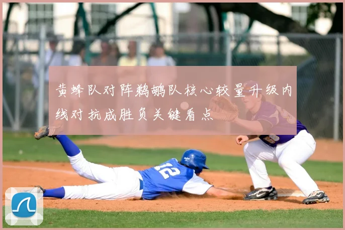 黄蜂队对阵鹈鹕队核心较量升级内线对抗成胜负关键看点