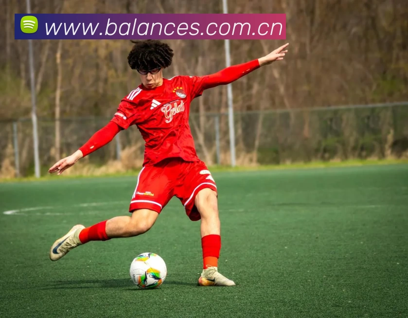 leyu乐鱼官方网页发展历程